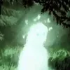 alenu_11