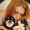 Chihuahuas lovers 🐶