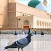 junaid.iqbal545