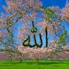 user9555811667681