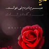 alone34400