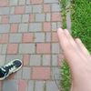_sasha_1682