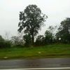 aficion_ala_guitarra