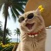 leakycat