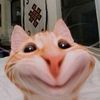 enbah46