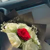 حلم 🕊️