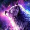 shadowwolf080