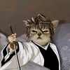 aizensosukecat