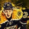thehockeyplayer63