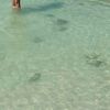 thomas_078_