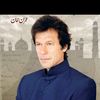 patchi_804