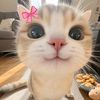 cegilnyaa.dhot