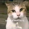 brayan_akh08