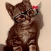 zareyy_159