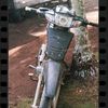 arifrafiki753