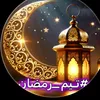 user19327336525577