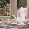 lily_18.0