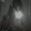 lily621485