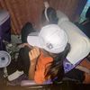 pieng781
