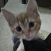 chelsy_0061