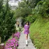 hongancte14