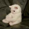 kinder_352