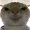 tomconhai
