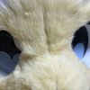 furry_curypoo