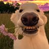mgsoemoenaing1