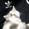 dahkaa_girl