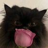 aysan_12300