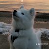 wawa_24680
