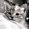 krizzabelle_34221
