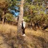 esmuhanbetov02