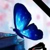 user6114019228308