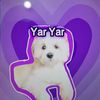 yaryar3507