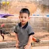 thanhdin86