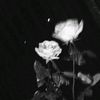 dont.hurt.me.anym4