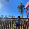 annikacelestinela
