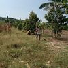 suseno.suseno44