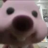 brlqihecww