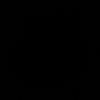 ___salmvv___