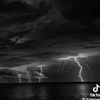 yusif.qazaxov8