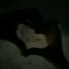 sama396661