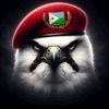 kingo9o5