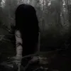 z___1205