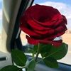damaris.raymundo02