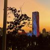 w_citydiaries