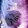 user271901247338