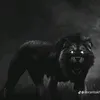 pakhtoon_.001